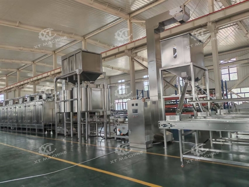 Dernières solutions de l'entreprise Ligne de torréfaction et blanchiment des cacahuètes 2000-3000kg/h expédiée en Égypte