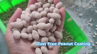 Machine de revêtement entièrement automatique —— Sans poussière (arachide recouverte) #machine #peanut #food