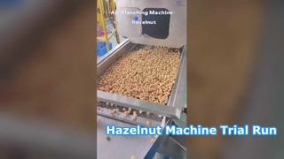 La vidéo d'essai de la machine à noisettes est ici ! Le choix parfait pour les usines de transformation des aliments. #machine