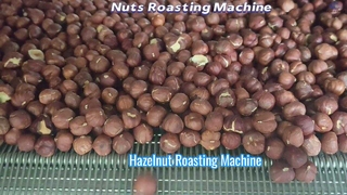 La vidéo de torréfaction des noisettes est là !!! La température est réglable à tout moment#machine #rôti