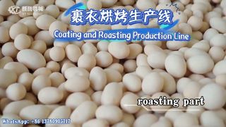 Machine de fabrication de hamburgers aux cacahuètes enrobés/ligne de production#peanut#productionline#machine#coating#roaster
