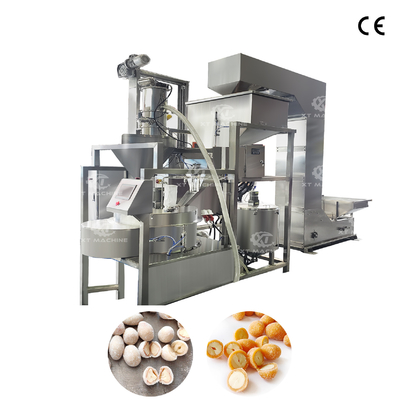 Un bon prix. Machine de revêtement de cacahuètes entièrement automatique à station unique 900-1000 kg/h en ligne