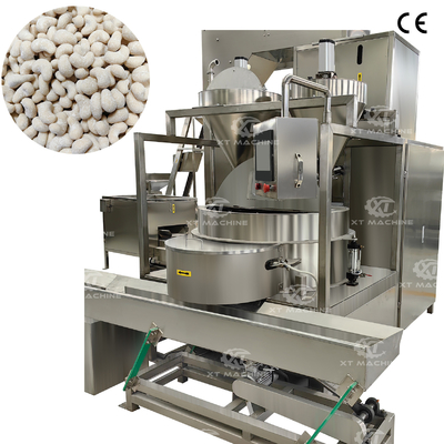 250 à 300 kg/h Machine automatique de revêtement des arachides