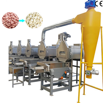 Un bon prix. 500-1000 kg/h SUS304 Machine à blanchiment de cacahuètes à fentes séparées Machine à éplucher les cacahuètes pour la transformation des noix en ligne