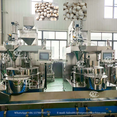 Un bon prix. Ligne de production automatique complète en SUS304 pour l'enrobage et la friture des cacahuètes, avec une capacité de 500-1000 kg/h, destinée aux usines de transformation de fruits à coque en ligne