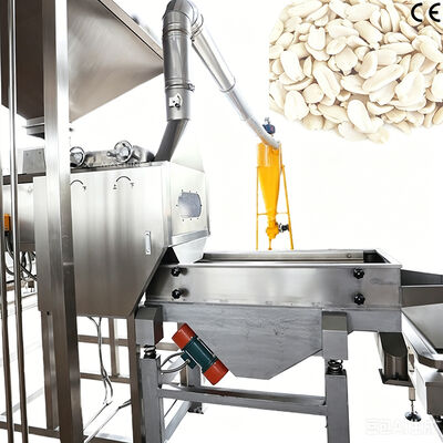 Machine de blanchiment des noyaux de cacahuètes à fente de haute précision Machine de découpe et de blanchiment des cacahuètes