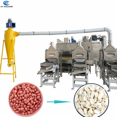 Machine de coupe et de blanchiment de noix de haute qualité 1000 kg/h à 2000 kg/h SUS304 pour équipement de transformation de noix