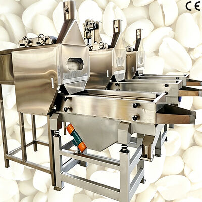 Machine blanchissante de grains de cacahuète parties, équipement précis de coupe et blanchiment pour le traitement de cacahuète